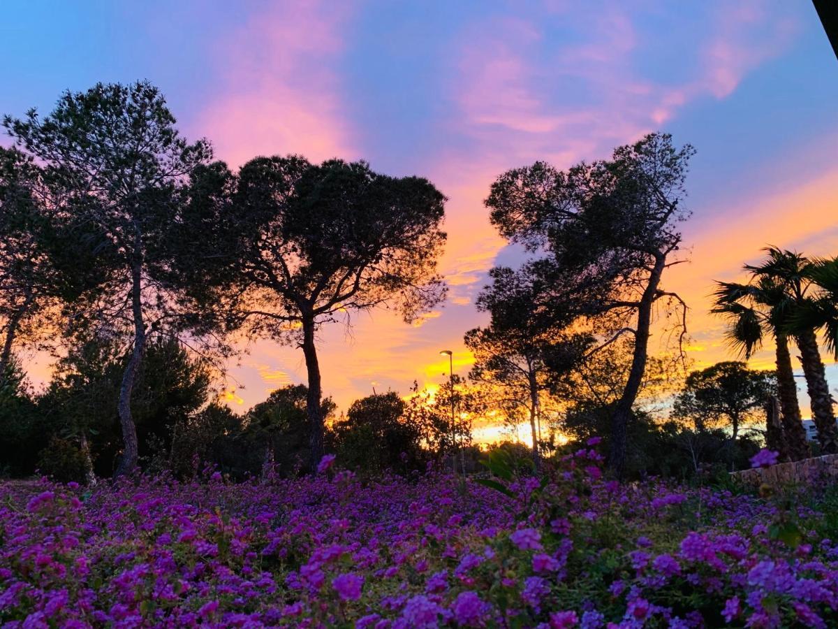 Naranjo Golf & Leisure Lägenhet Dehesa de Campoamor  Exteriör bild